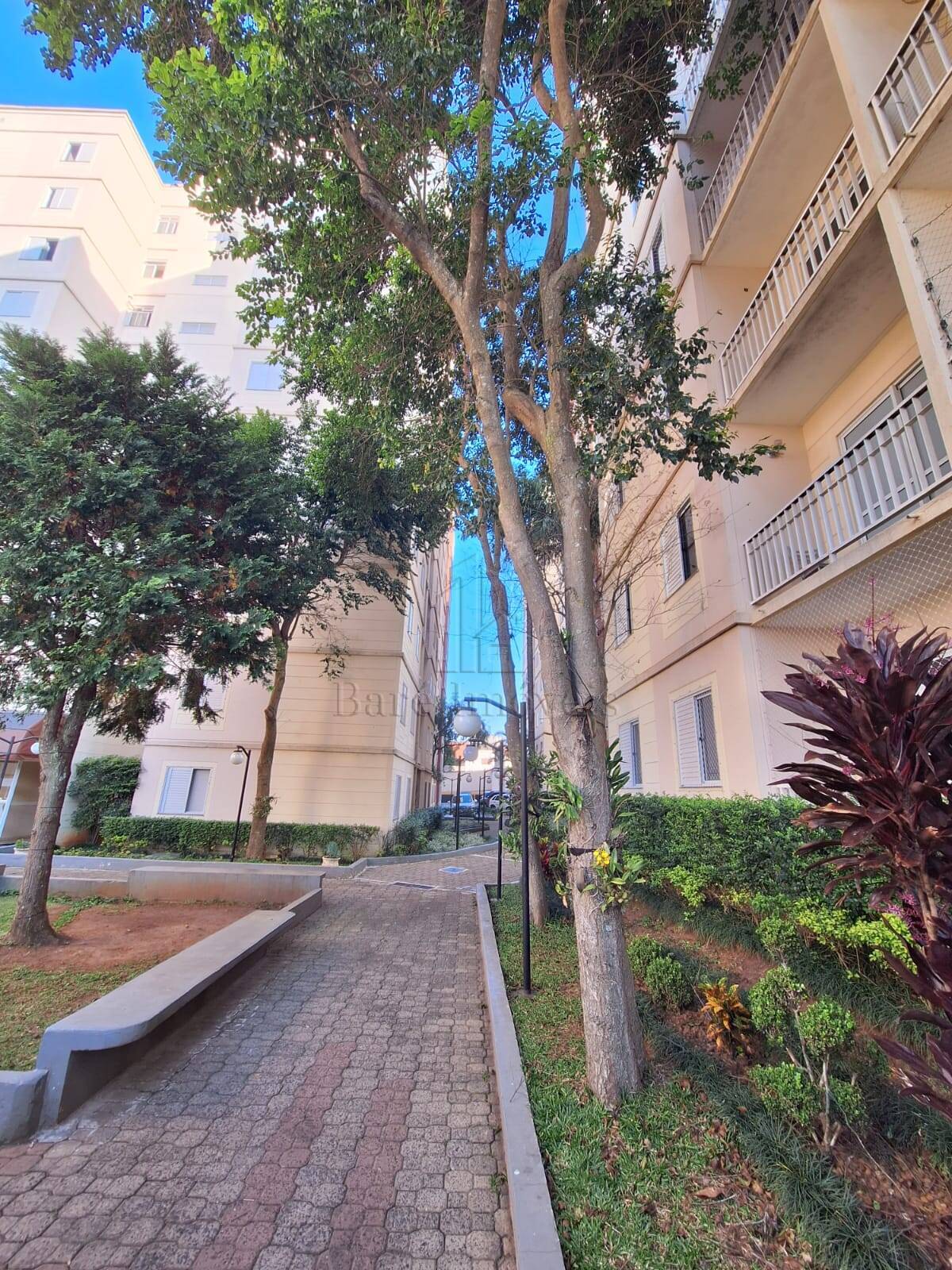 Apartamento, 3 quartos, 65 m² - Foto 3