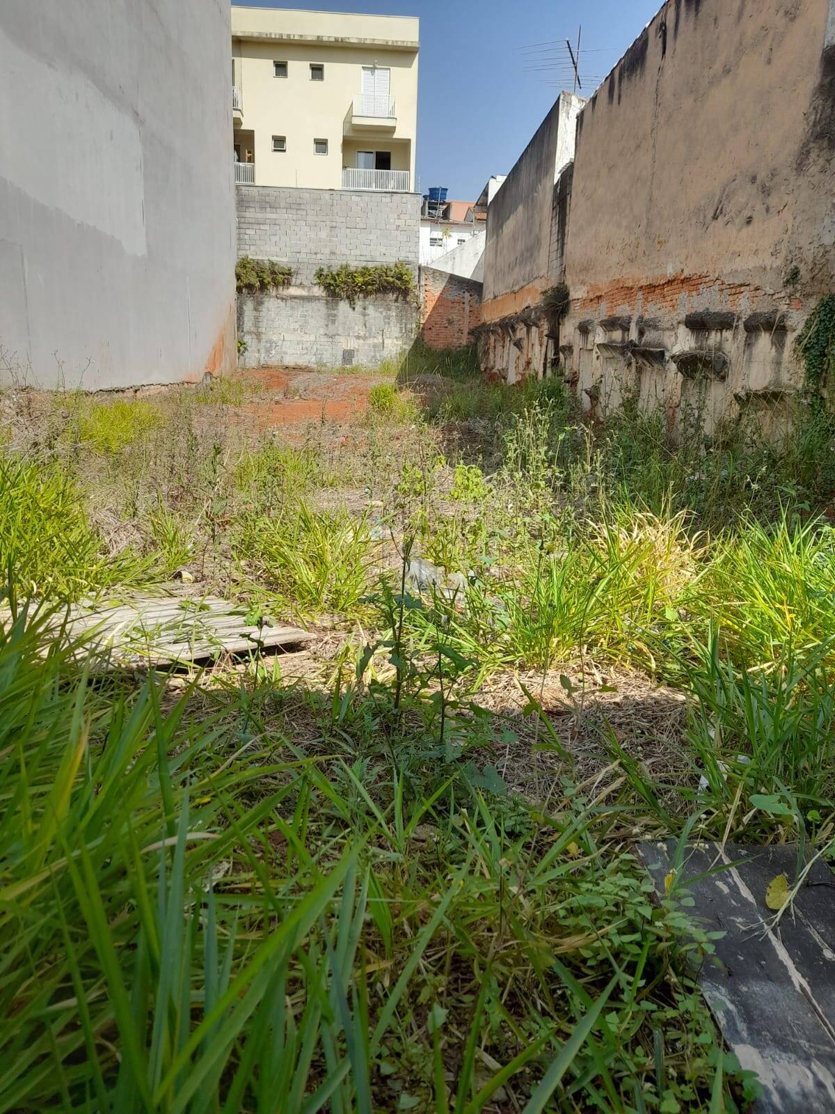 Terreno, 350 m² - Foto 2