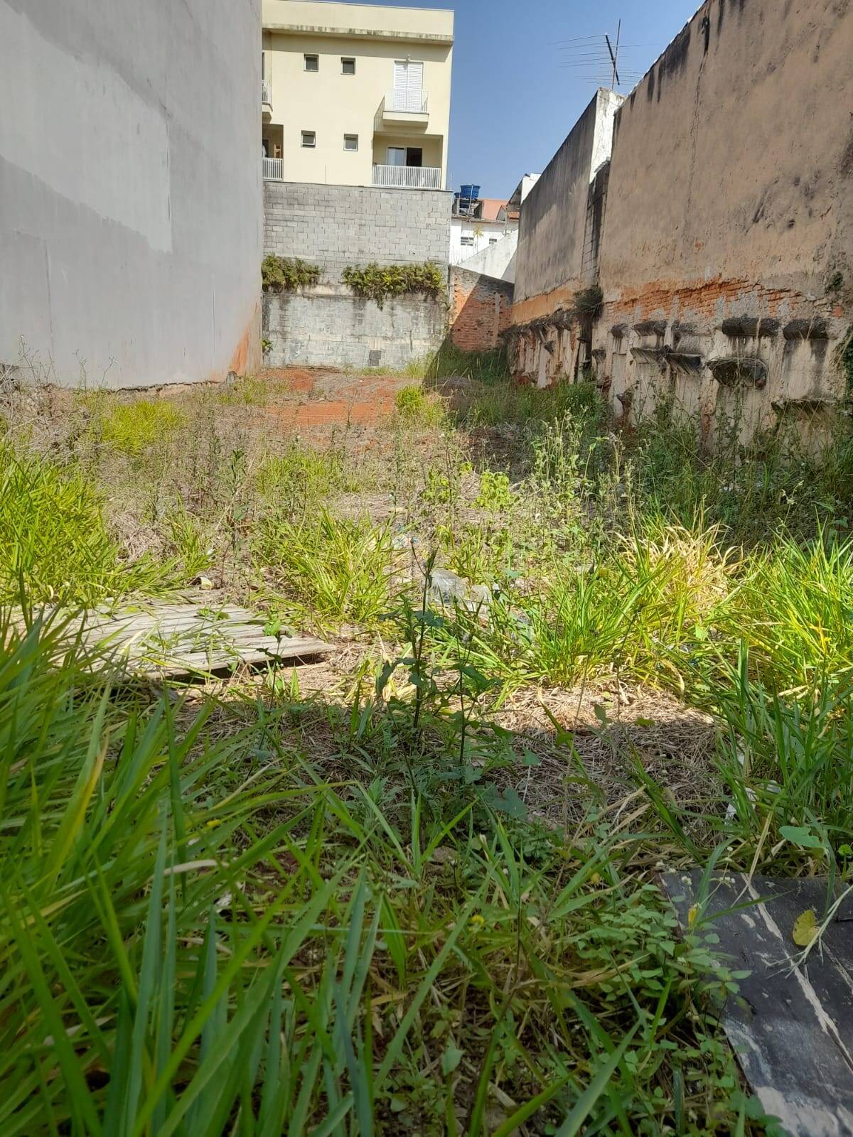 Terreno, 350 m² - Foto 5