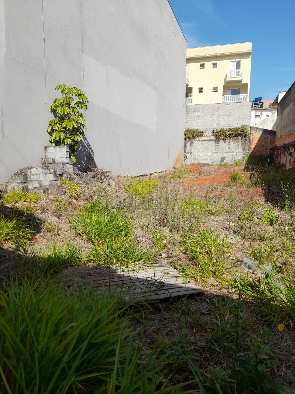 Terreno, 350 m² - Foto 7