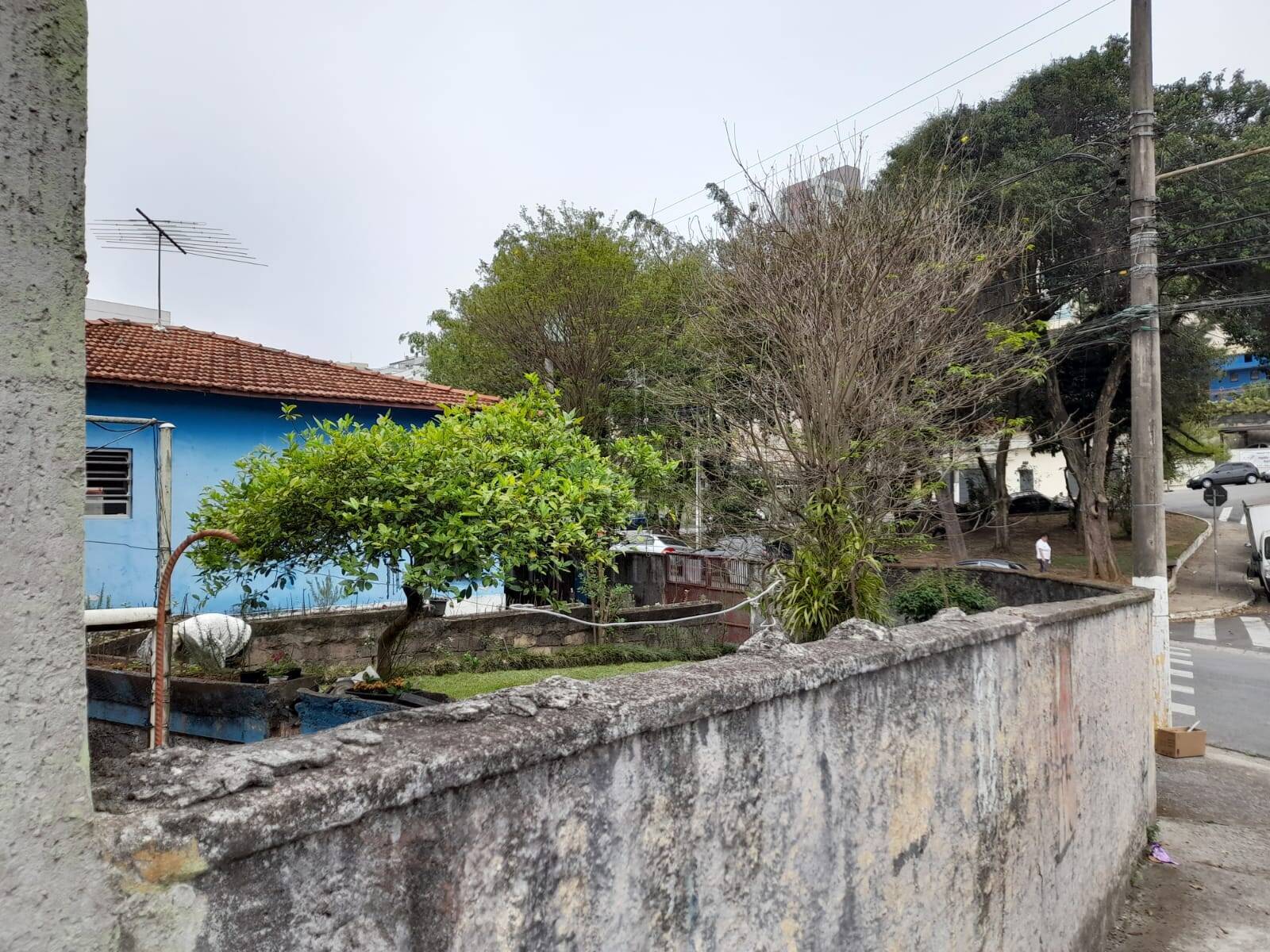 Terreno, 301 m² - Foto 1