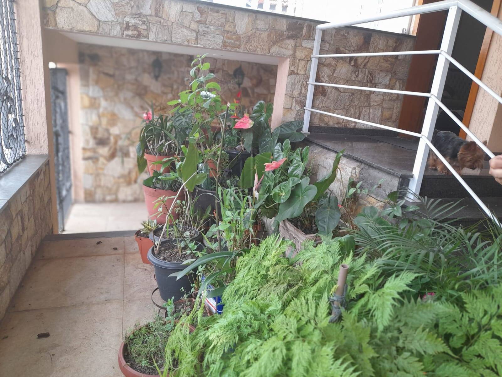 Casa, 2 quartos, 133 m² - Foto 22