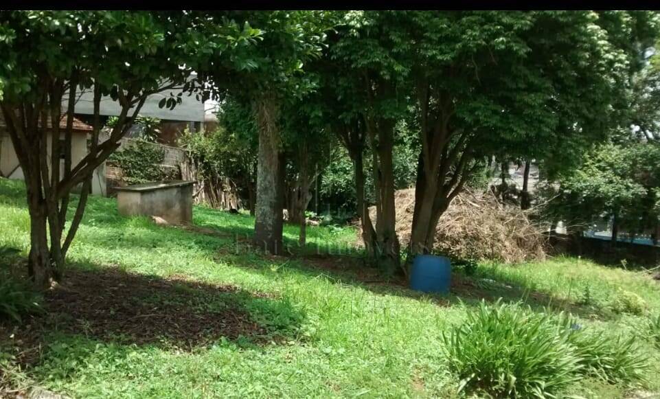 Terreno, 5470 m² - Foto 6