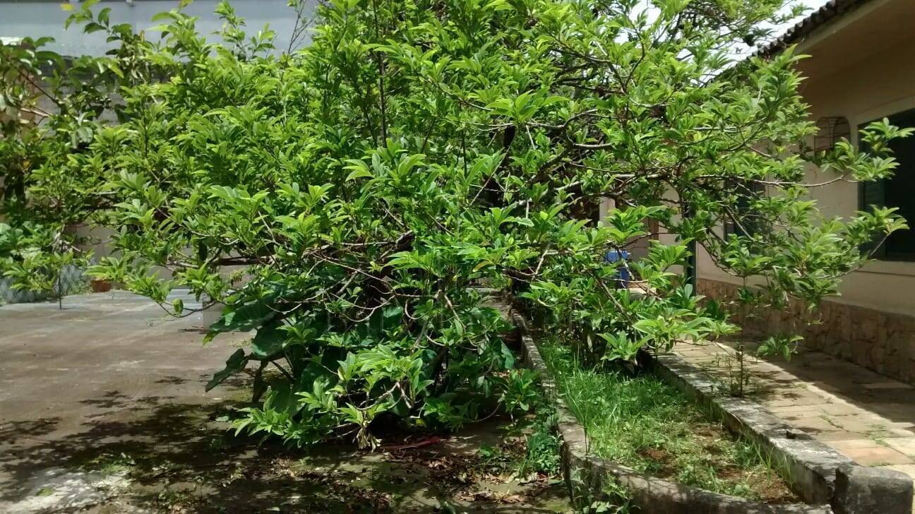 Terreno, 5470 m² - Foto 5