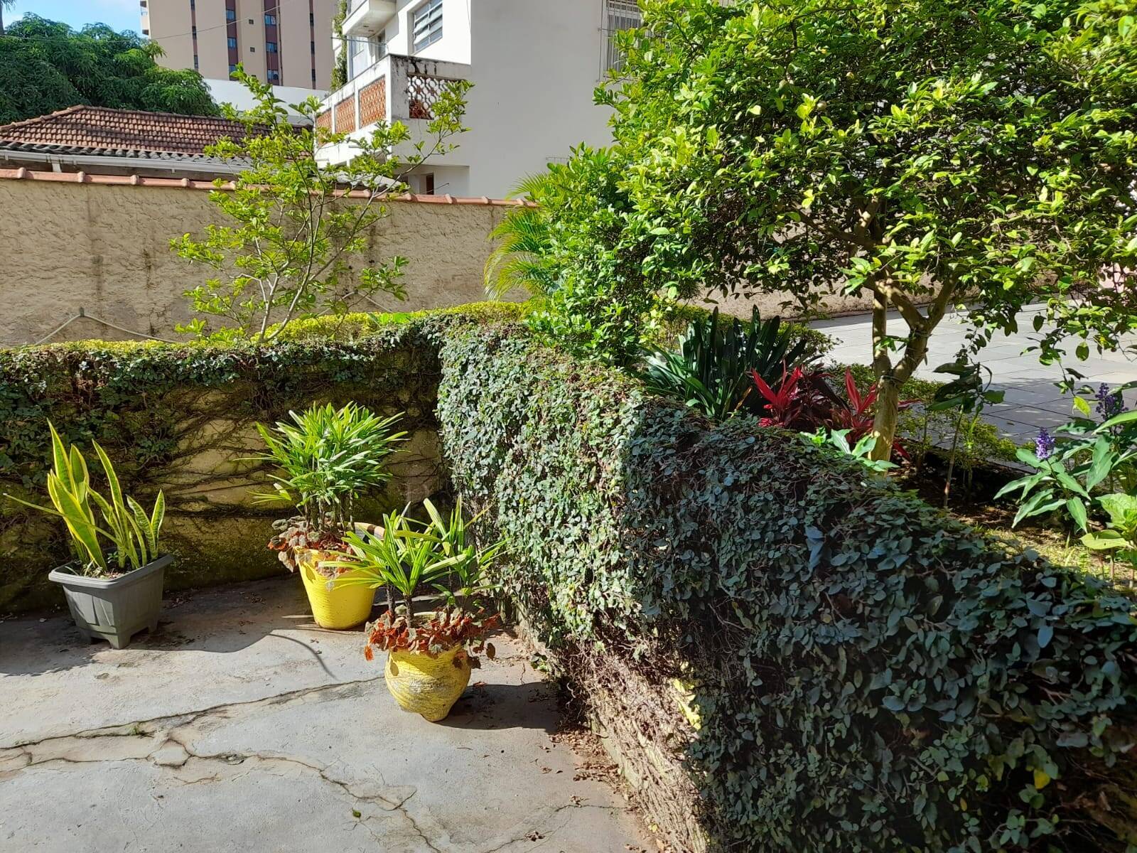 Terreno, 450 m² - Foto 6