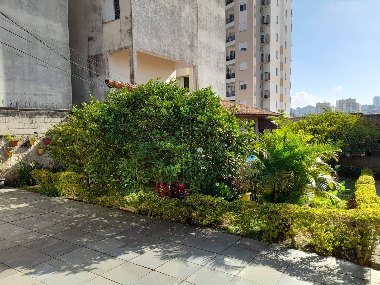 Terreno, 450 m² - Foto 8