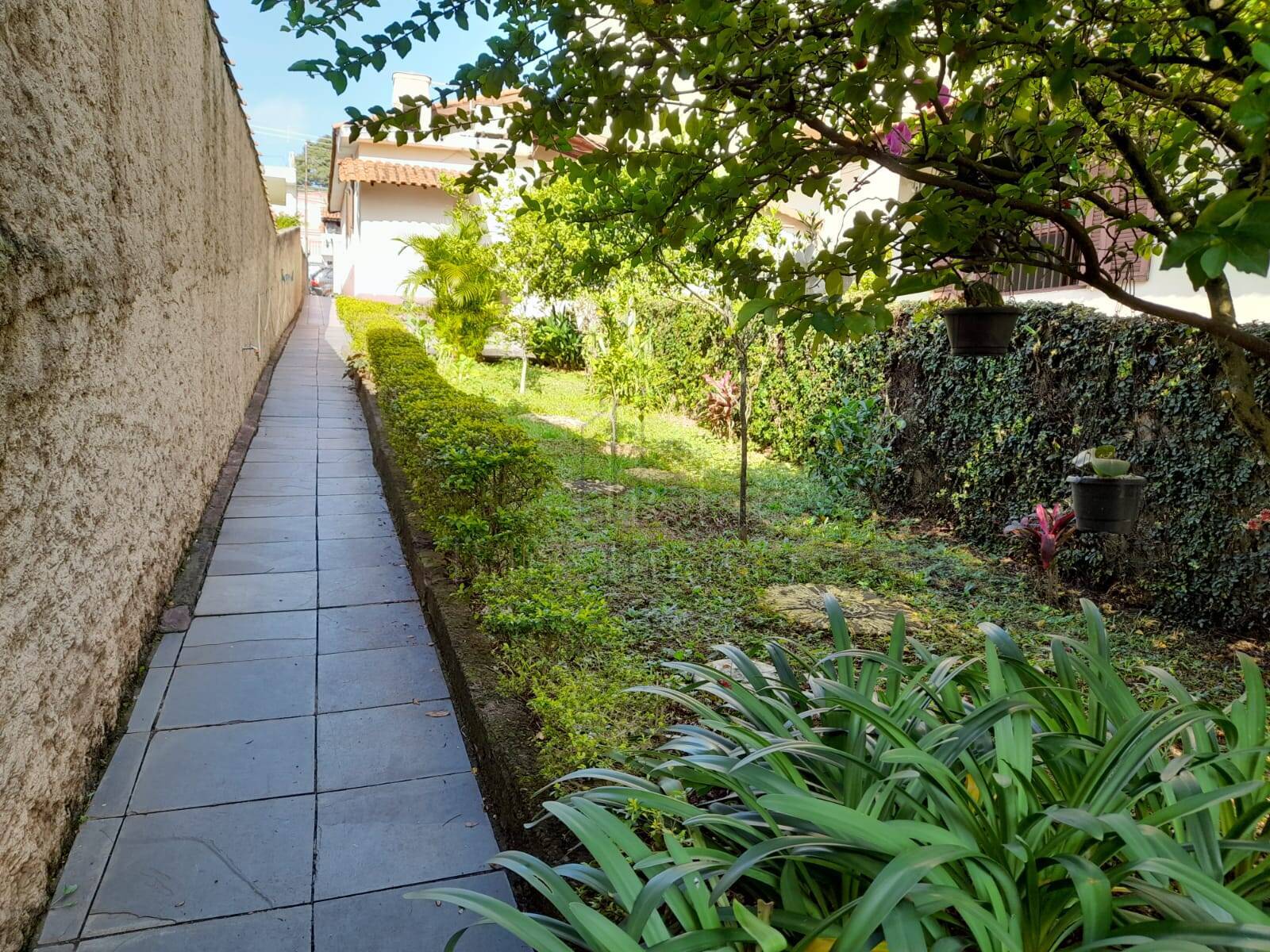 Terreno, 450 m² - Foto 13