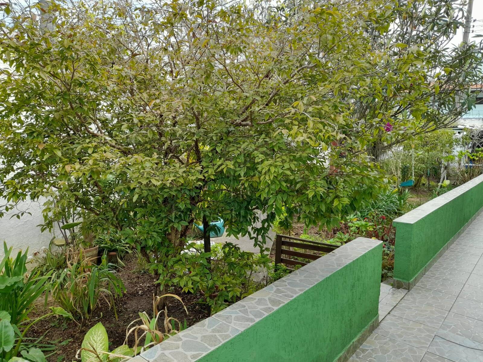 Casa, 3 quartos, 120 m² - Foto 27